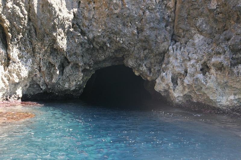 Vis                 9.jpg